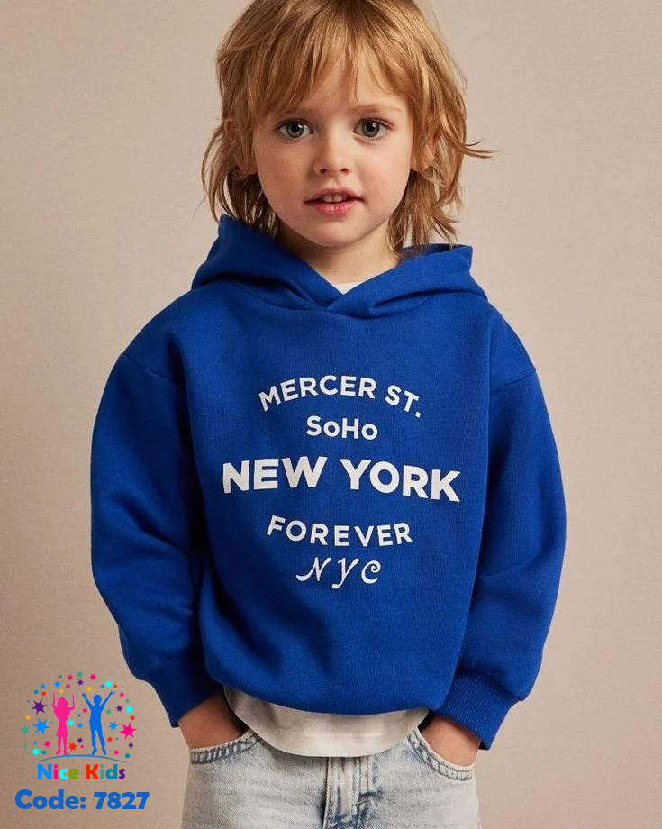 تصویر شماره 1 از هودی پسرانه