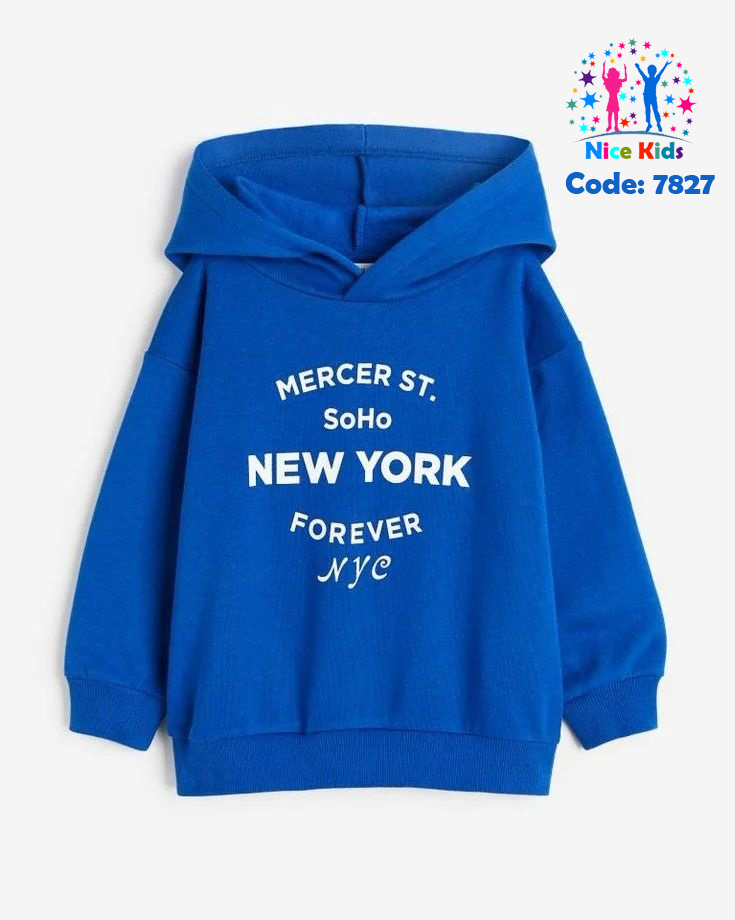 تصویر شماره 2 از هودی پسرانه