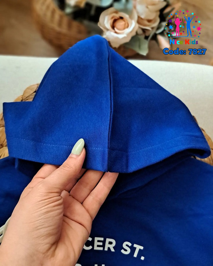 تصویر شماره 6 از هودی پسرانه